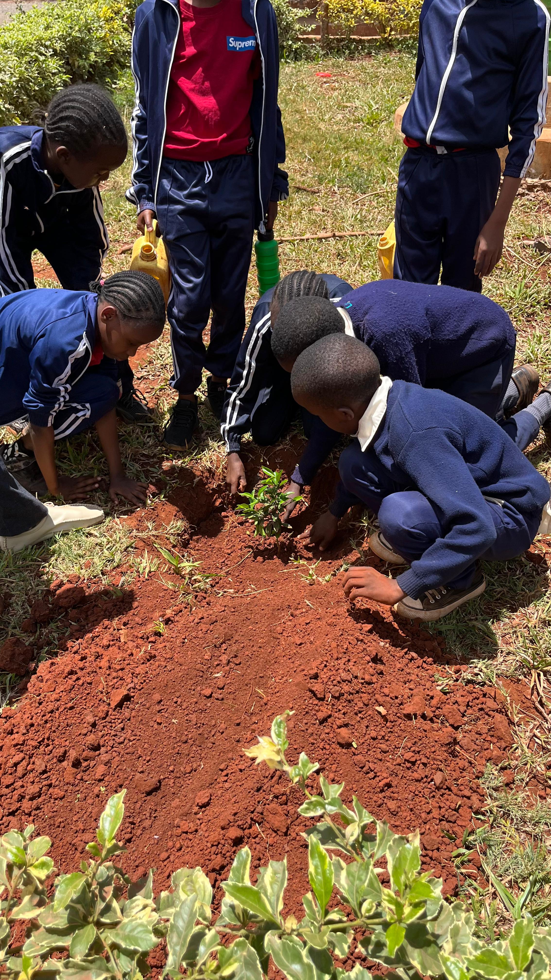 Tree planting demonstration